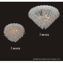 Modern High Quality Carbon Steel Glass Ceiling Lighting Fixtures (951C2)